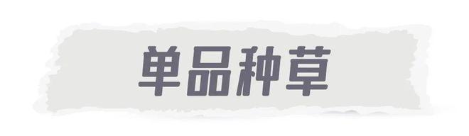 服低至129元反季买太划算了！开元棋牌试玩年中清仓大捡漏羽绒(图10)